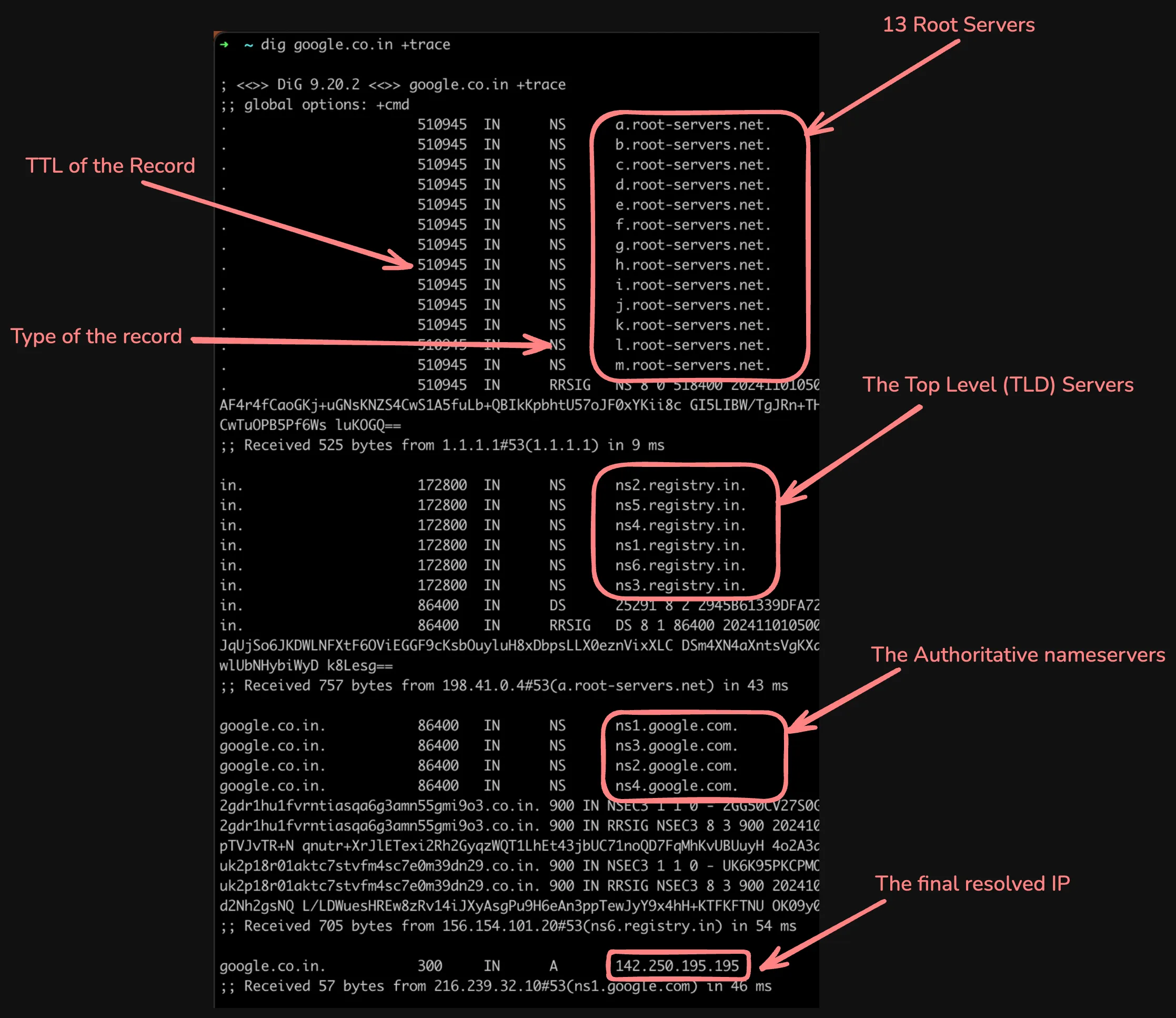 dig trace output